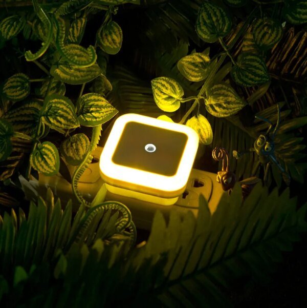 Wireless LED Night Light Sensor Lighting Mini EU/US Plug Night Lights For Children Room Bedroom Living Room Decoration Lighting - Image 3