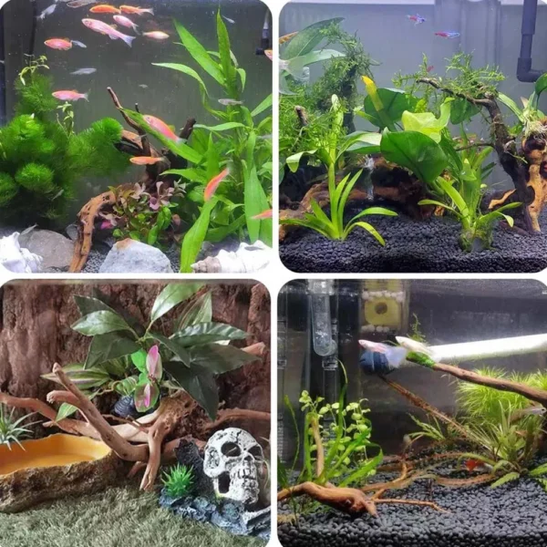 3pcs Tree Trunk Driftwood Aquarium Fish Tank Reptile Cylinder Roots Plant Wood Decoration Ornament Accessory Aquarium Plants - Image 3