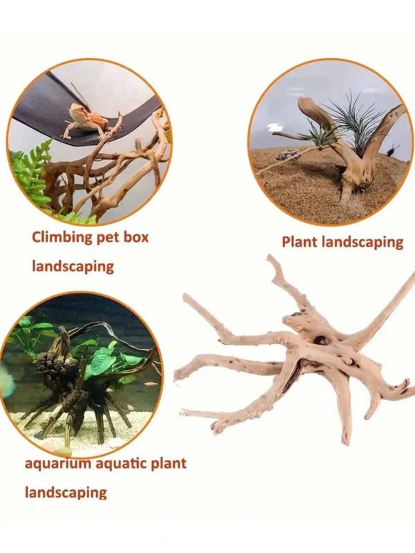 3pcs Tree Trunk Driftwood Aquarium Fish Tank Reptile Cylinder Roots Plant Wood Decoration Ornament Accessory Aquarium Plants - Image 5