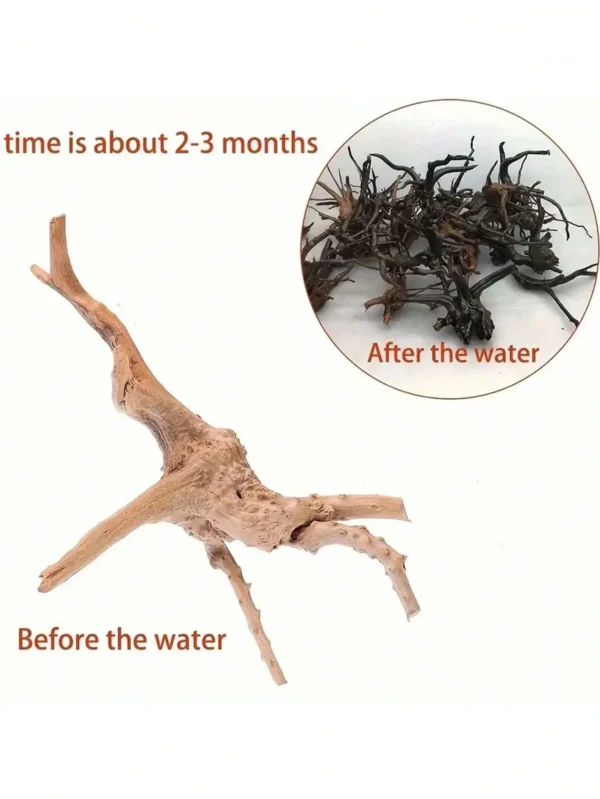 3pcs Tree Trunk Driftwood Aquarium Fish Tank Reptile Cylinder Roots Plant Wood Decoration Ornament Accessory Aquarium Plants - Image 4