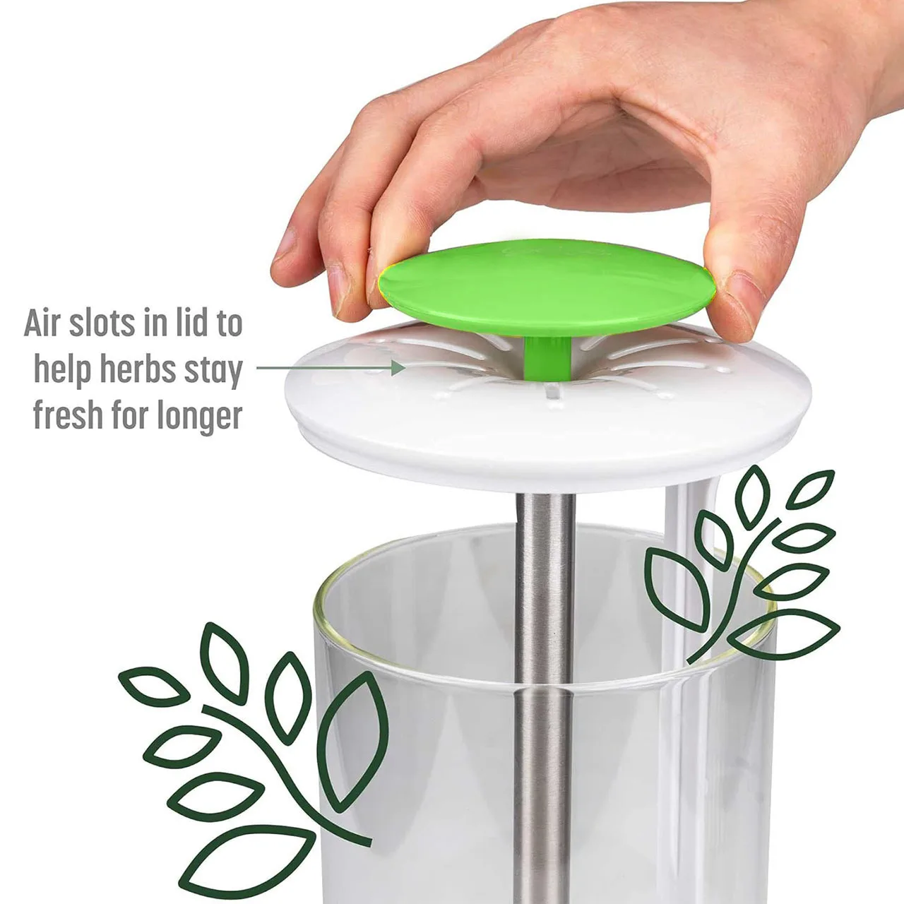 Household Clean Green Vegetable Transparent Saver Herb Cilantro Parsley Breathable Preservation Fresh Storage Container Box - Image 2