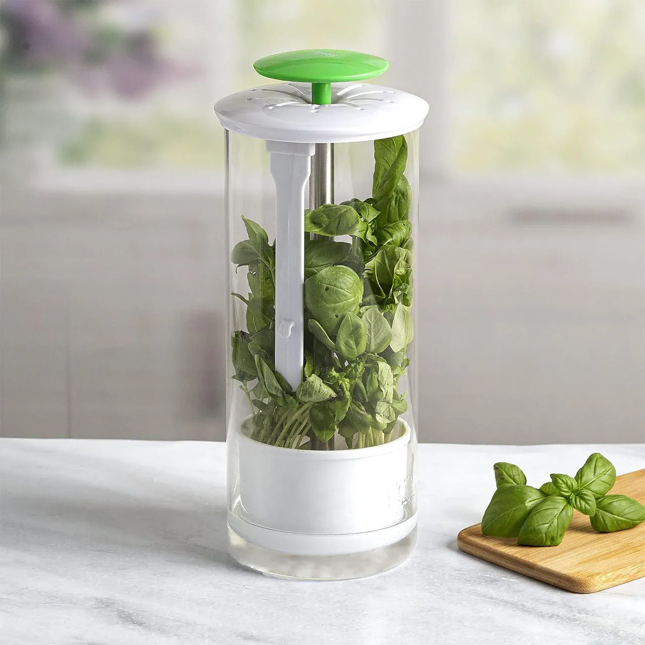 Household Clean Green Vegetable Transparent Saver Herb Cilantro Parsley Breathable Preservation Fresh Storage Container Box - Image 5