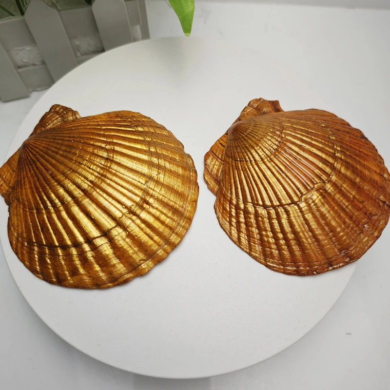 Ocean-inspired Seashell Design Jewelry Tray with Vintage Floral Print - Perfect Holder for Rings Earrings and Accessories - Image 4