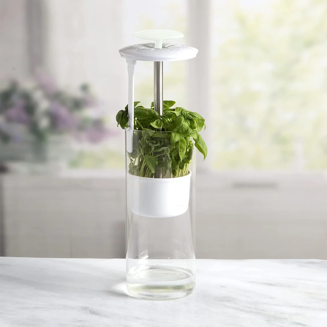 Household Clean Green Vegetable Transparent Saver Herb Cilantro Parsley Breathable Preservation Fresh Storage Container Box - Image 6