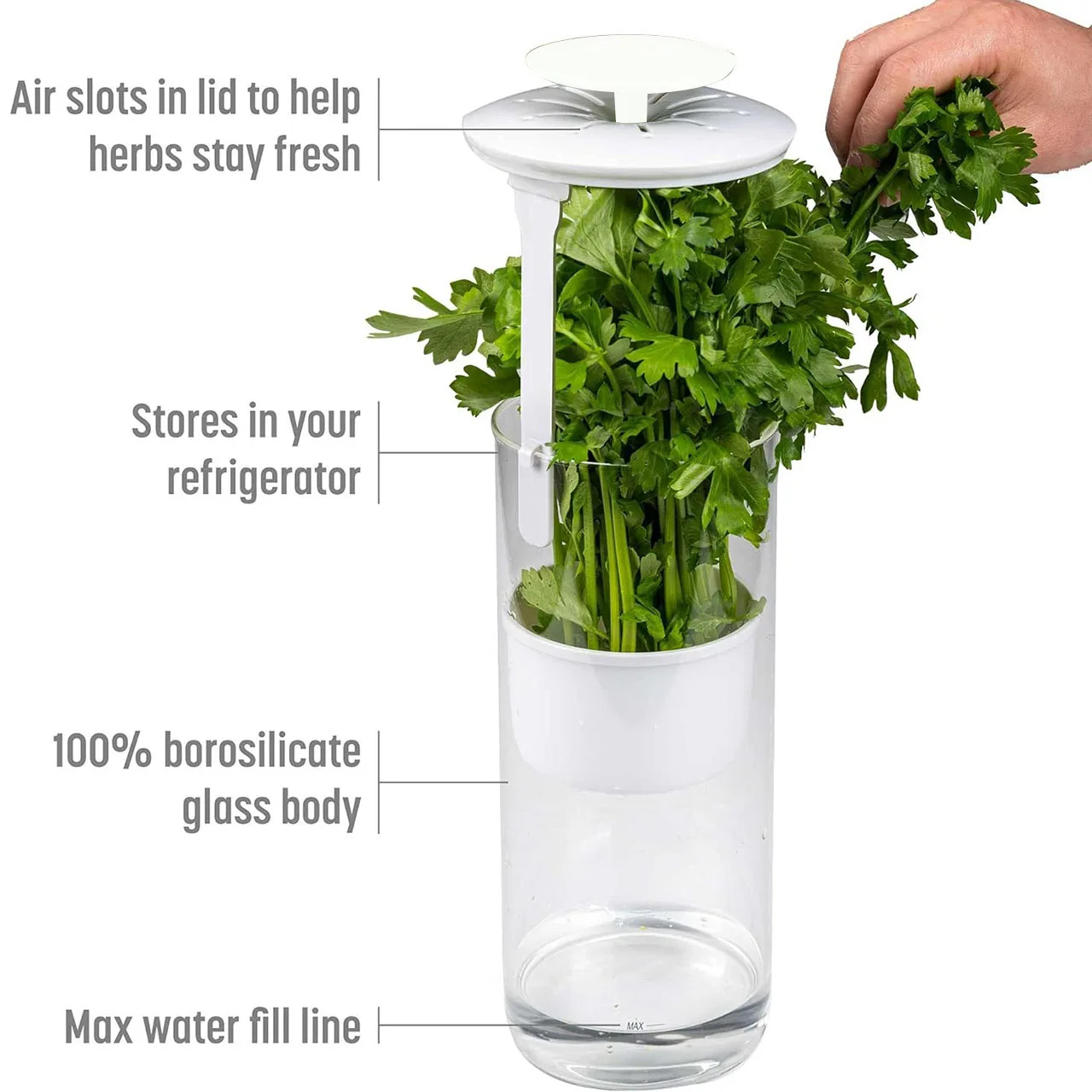 Household Clean Green Vegetable Transparent Saver Herb Cilantro Parsley Breathable Preservation Fresh Storage Container Box - Image 4